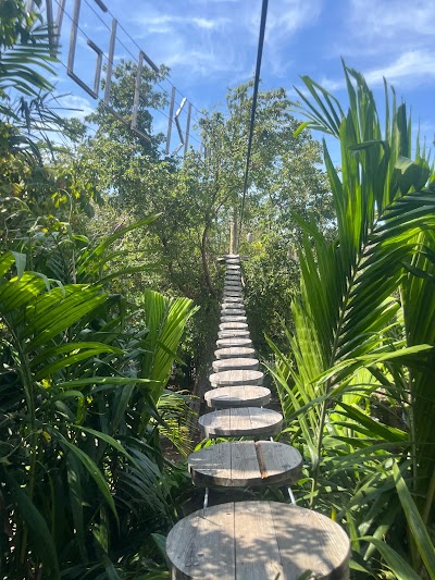 Treetop Trekking Miami photo 3
