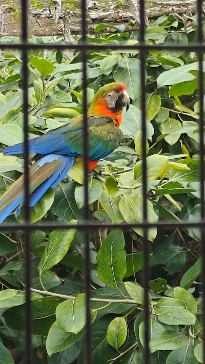Treetop Trekking Miami photo 5