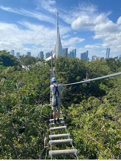 Treetop Trekking Miami photo 2