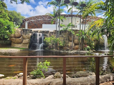 Treetop Trekking Miami photo 4