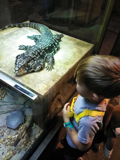 Orlando Science Center photo 4
