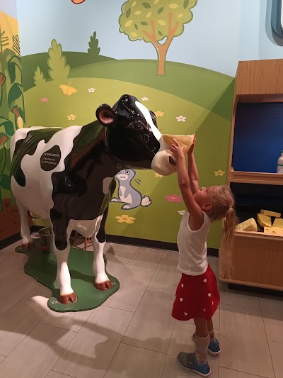 Miami Children's Museum photo 4
