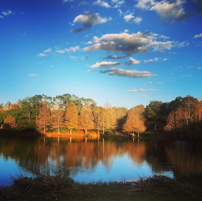 Greenwood Urban Wetlands photo 5