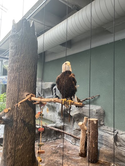 South Carolina Aquarium photo 3