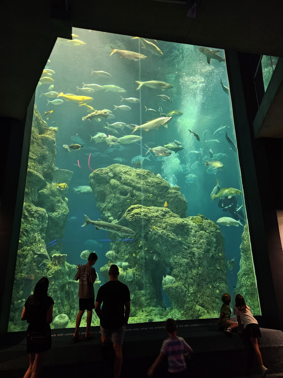 South Carolina Aquarium