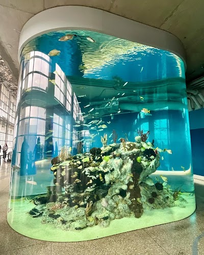 South Carolina Aquarium photo 2