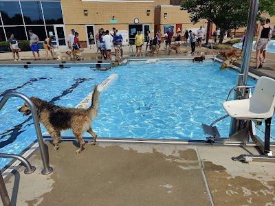 The Sidney and Lois Eskenazi Pool at the Arthur M. Glick JCC photo 3