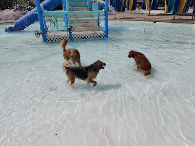 The Sidney and Lois Eskenazi Pool at the Arthur M. Glick JCC photo 4