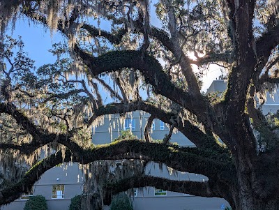 Old Town Trolley Tours of Savannah photo 4