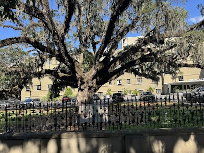 Old Town Trolley Tours of Savannah photo 5