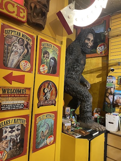 Museum of the Weird photo 3