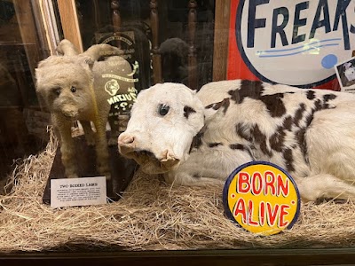 Museum of the Weird photo 4