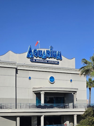 Downtown Aquarium photo 2