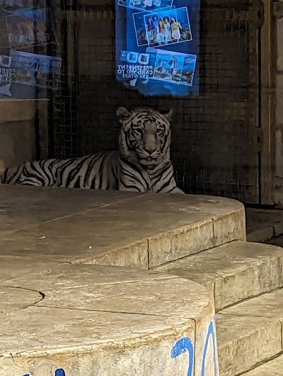 Downtown Aquarium photo 3