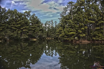 North Charleston Wannamaker County Park photo 3