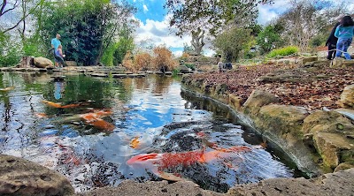 Zilker Botanical Garden photo 2