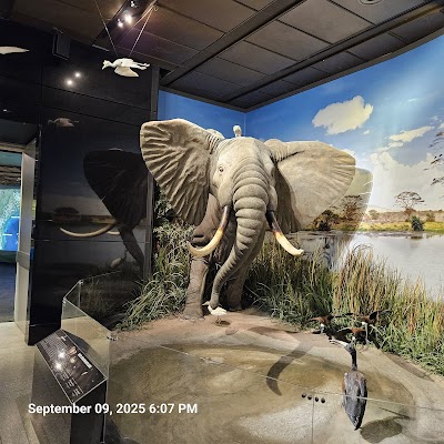 Houston Museum of Natural Science photo 4