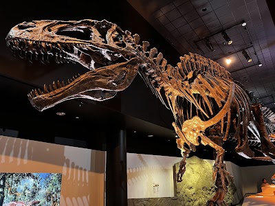 Houston Museum of Natural Science photo 2
