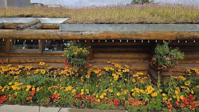 Visit Anchorage Log Cabin Visitor Information Center photo 3