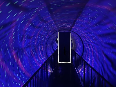 Museum of Illusions photo 3