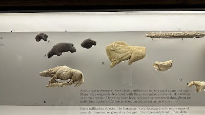 Maxwell Museum of Anthropology photo 5
