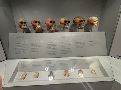 Maxwell Museum of Anthropology photo 3