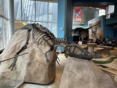 Maryland Science Center photo 3