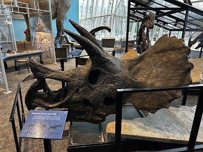 Maryland Science Center photo 5