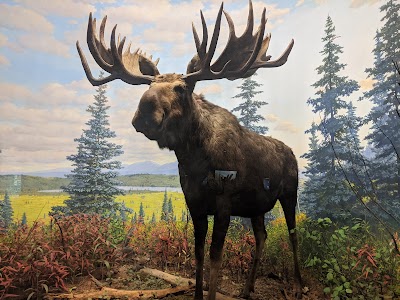 The Academy of Natural Sciences of Drexel University photo 5