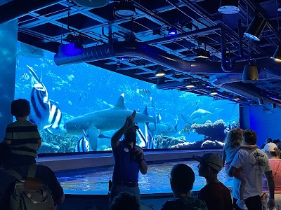 Audubon Aquarium photo 2