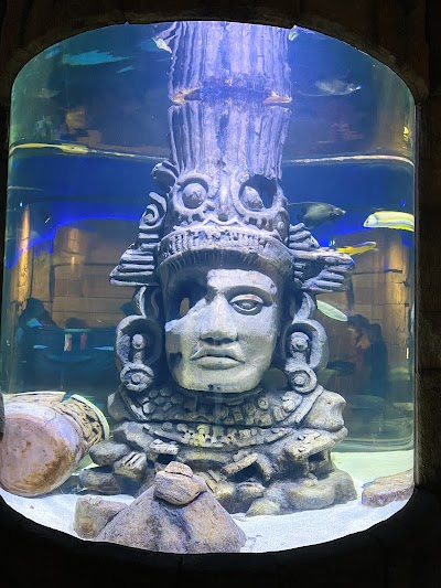 Audubon Aquarium photo 3