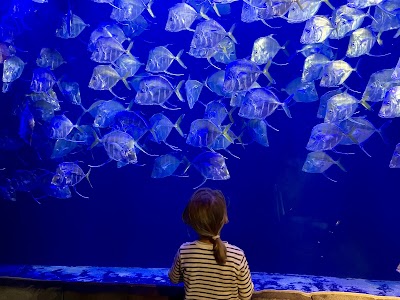 Audubon Aquarium photo 4