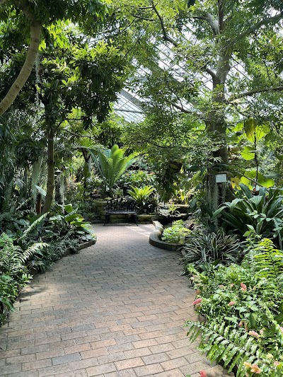 Garfield Park Conservatory photo 2