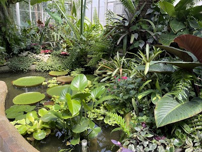 Garfield Park Conservatory photo 3