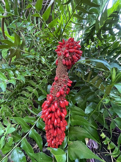 Garfield Park Conservatory photo 4