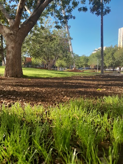 Civic Space Park photo 4