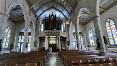 San Fernando Cathedral photo 5