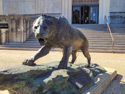Texas Science & Natural History Museum photo 5