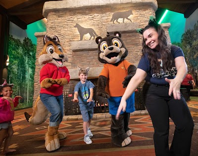 Great Wolf Lodge | Minnesota photo 5