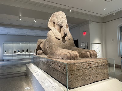 Penn Museum photo 2