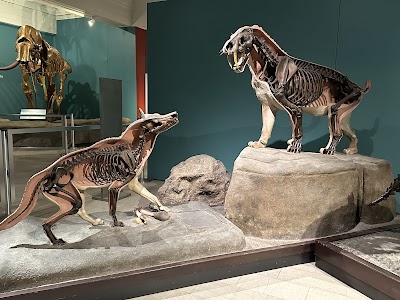 Carnegie Museum of Natural History photo 3