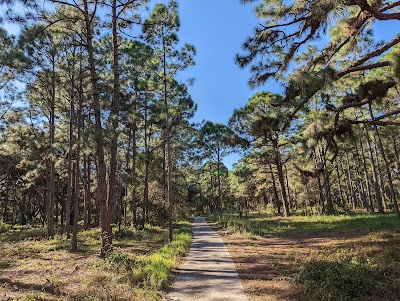 Miramar Pineland Park photo 3