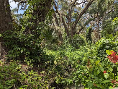 Dickson Azalea Park photo 3