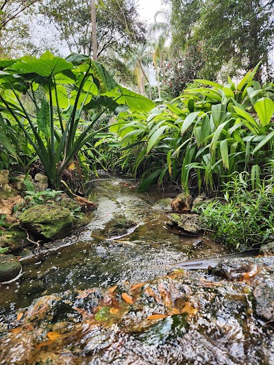 Dickson Azalea Park photo 5