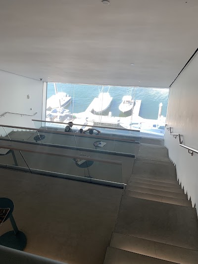 Institute of Contemporary Art photo 5