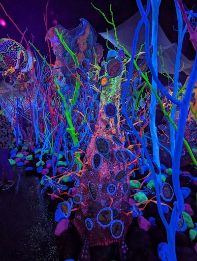 Meow Wolf Houston's Radio Tave photo 2