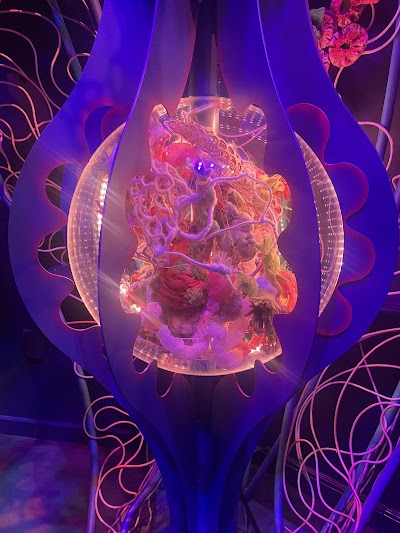 Meow Wolf Houston's Radio Tave photo 5
