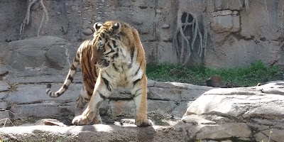 Lighthouse Point Splash Zone at Hogle Zoo photo 2