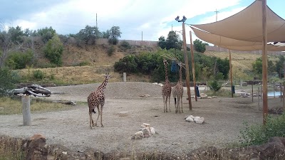 Lighthouse Point Splash Zone at Hogle Zoo photo 3