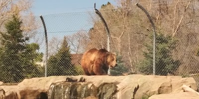 Lighthouse Point Splash Zone at Hogle Zoo photo 4